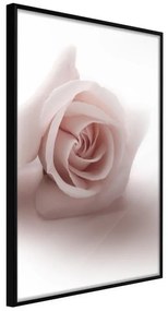 Poster  Subtle Flower  Cornice Quadri Cornice nera, Larghezza x Altezza Home decor 20x30