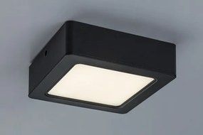 Rabalux 2689 - Plafoniera LED SHAUN LED/12W/230V 14,5 cm