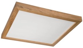 Brilagi - Lampada da bagno LED WOODY FRAME LED/40W/230V 60x60 cm IP44 rovere