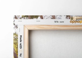 Quadro su tela – Foresta nei colori autunnali