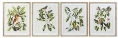 Quadro DKD Home Decor Bird 55 x 2,5 x 70 cm Tropicale Uccelli (4 Pezzi)