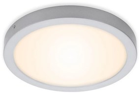 Briloner 7141-014 - Plafoniera LED FIRE LED/21W/230V 3000K