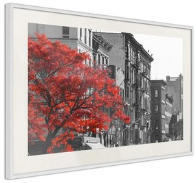 Poster  Autumn Colours II  Cornice Quadri Cornice nera, Larghezza x Altezza Home decor 60x40