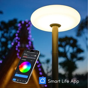 Piantana da Esterno Led ad Energia Solare LMS-D13