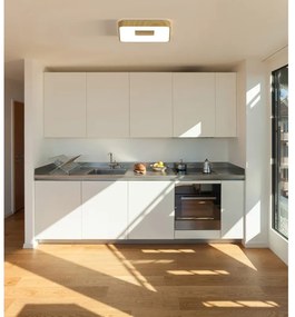 Plafoniera LED natura Coin44 cm dimmerabile, 3900 lumen MANTRA