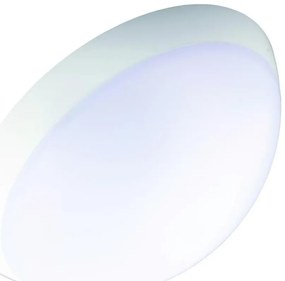 Fulgur 20997 - Plafoniera tecnica ROMANA 1xE27/75W/230V IP64