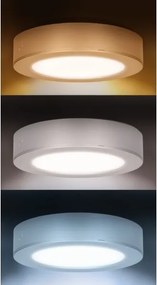 Solight WD240-W - Pannello LED 2 in 1 LED/12W/230V 3000/4000/6000K Ø17cm IP54 bianco