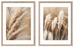 Set di dipinti 2 pz 30x40 cm Selloana – Styler