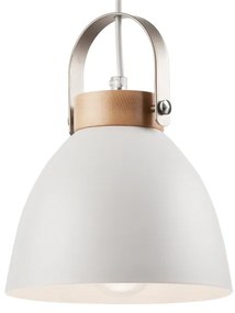 Lampadario a cavo DANIELLE 1xE27/60W/230V