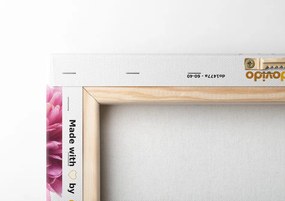 Stampa su tela – Fiori di dalia in design multicolore
