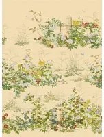 Cole & Son Tapete Scenic Flora - Japanese Paperweave - Gold