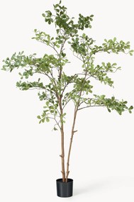 Pianta artificiale Tropical Almond