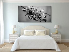 Quadro su tela – Ramo fiorito di ciliegio in bianco e nero