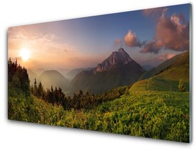Quadro su vetro acrilico Montagna della foresta della natura 100x50 cm