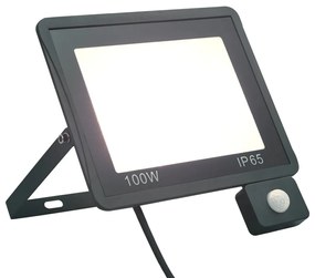 Faretto A Led Con Sensore 100 W Bianco Freddo /