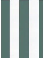Coordonne Carta da parati Stripe 8 - Parra
