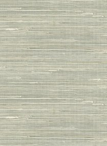 Eijffinger Carta da parati Natural 45 - 303510