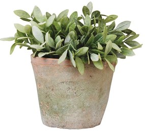 Vaso in terracotta ø 16 cm - Esschert Design