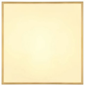 Globo 12382-30 - Plafoniera LED TIBEY LED/30W/230V 45x45 cm