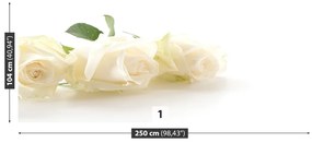 Carta da parati Rose bianche 104x70 cm