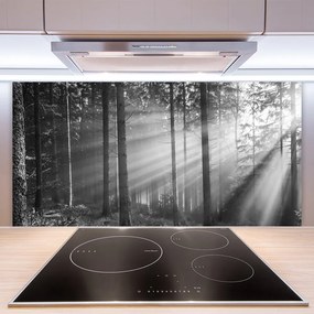 Pannello paraschizzi cucina Foresta naturale Raggi del sole 100x50 cm