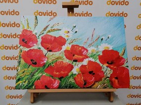 Stampa su tela – Papaveri di campo dipinti