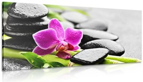 Quadro su tela – Natura morta per il benessere con orchidea viola