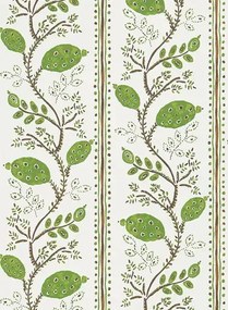 Tapete Pomegranate Trail v. Nina Campbell - Green/ Chocolate