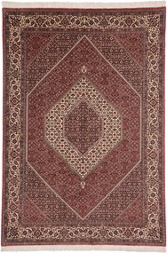 Bidjar Tappeto 250x170 (Iran) Annodato A Mano