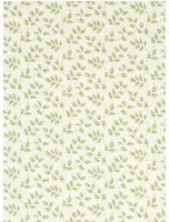 Sanderson Carta da parati Tomato Leaf - Leaf Green