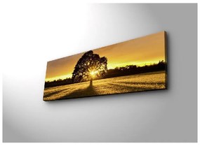 Quadro illuminato Albero, 90 x 30 cm - Wallity