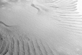 Stampa su tela – Ali in bianco e nero con elementi astratti