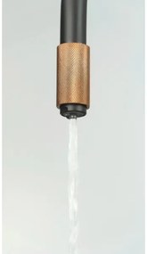 Deante BCA_B64M - Miscelatore per lavello ASTER nero/ottone