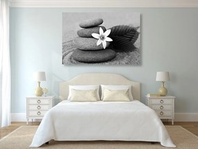 Stampa su tela – Fiore e pietre nella sabbia in bianco e nero