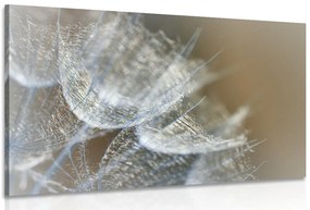 Quadro su tela – Macro soffione su sfondo