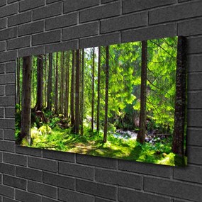 Quadro su tela Foresta, alberi, piante, natura 100x50 cm