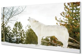 Quadro di vetro Lupo foresta invernale 100x50 cm