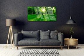 Quadro acrilico Parco Naturale della Foresta 100x50 cm