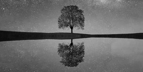 Quadro su tela – Cielo stellato sopra un albero solitario in bianco e nero
