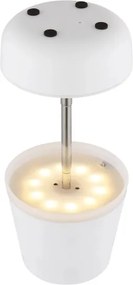 Globo 36638W - Lampada solare LED 10xLED/0,06W/3V IP44 bianco