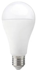 Lampadina LED GS E27/17W/230V 3000K