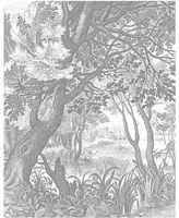 KEK Amsterdam Carta da parati panoramica Engraved Landscapes 4 - XS
