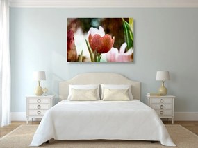 Quadro su tela – Prato di tulipani in stile retrò