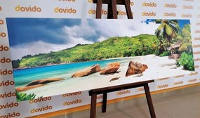 Stampa su tela – Seychelles tropicali