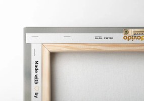 Quadro su tela – Pietre armoniche e fiore di plumeria