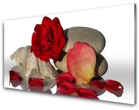 Quadro acrilico Rose, petali, natura morta 100x50 cm