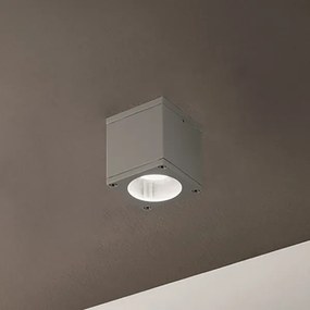 Plafoniera NEVADA 9x10 cm per esterni LED in alluminio Silver