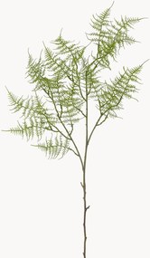 Set di 2 piante artificiali Fern