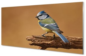 Quadro acrilico Uccello 100x50 cm