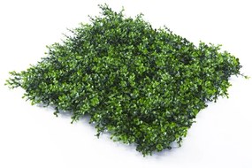 Parete verde artificiale Bosso Divy 3D in polietilene, verde H 1 m x L 1 m